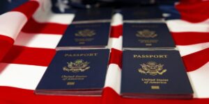 Green Card en pause, « Les Enflures » en vente : deux loteries, deux ambiances